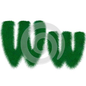 Moss thready letter W