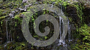 Moss and trickling water