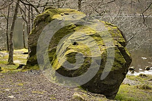 Mossed boulder