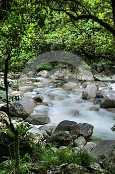 Mossman Gorge