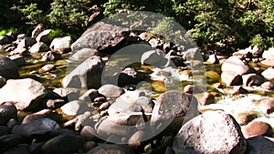 Mossman Gorge in Daintree National Park, Queensland