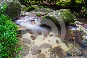 Mossman Gorge Scenery