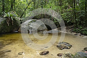 Mossman River and Lookout in rural rainforest at Mossman Gorge National Park Daintree Region Queensland Australia.