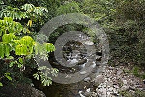 Mossman River and Lookout in rural rainforest at Mossman Gorge National Park Daintree Region Queensland Australia.