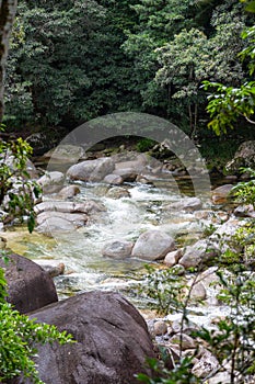 The Mossman river in Mossman Gorge Cultural Centre, the world's oldest rainforest area