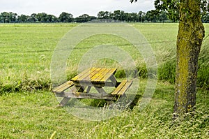 Mossy bench in a green field