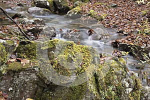 Mossy boulder and tributary brook of the Little River on North Twin Trail, White Mountains, New Hampshire