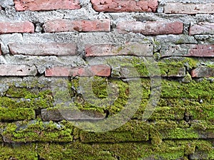 mossy brick wall pattern full frame background