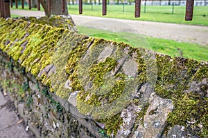 Mossy brick wall under a rusty fence