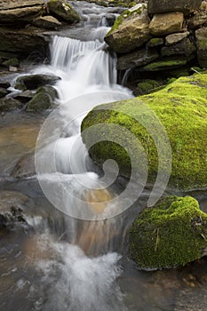 Mossy brook at the Belding Preserve in Vernon, Connecticut