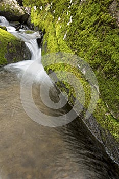 Mossy brook at the Belding Preserve in Vernon, Connecticut