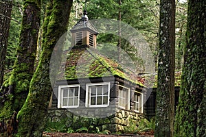 Mossy Country Stone Cottage in the Woods