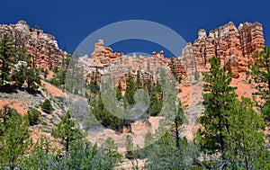 Mossy creek trail hoodoos, bryce canyon national park, utah, usa