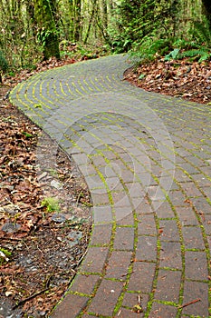 Mossy curved brick path