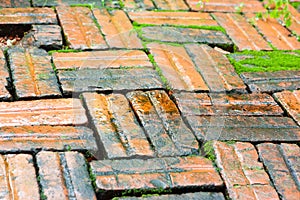 Mossy and damp brick