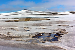 Mossy fields under snow in Northern Iceland during springtime.