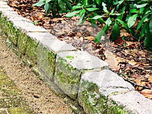 Mossy garden edge stones in forest garden. Garden walling and fencing.