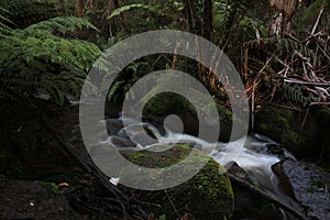 mossy green rocks and trees surround the stream running through a forest