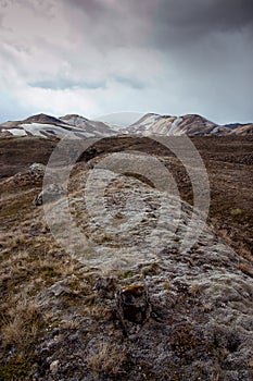 Mossy knoll in Iceland