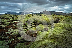 Mossy lava field of Iceland