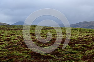 Mossy Lava Fields of Iceland