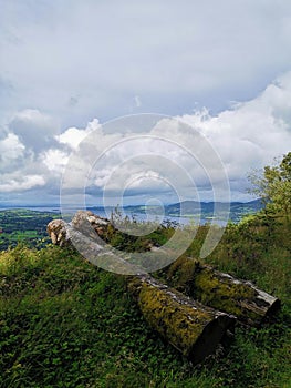 Mossy logs on the green grass against the background of the valley and mountains. Ireland