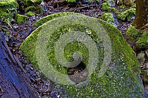 Mossy Mill Stones, Lathkill Dale, Derbyshire