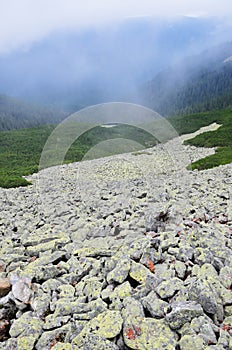 Mossy moraine on the mountainside in Carpathians