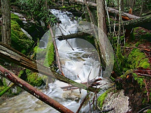 Mossy Mountain Creek in Purcell Mountains near Kootenay Lake, Purcell Wilderness Conservancy, British Columbia, Canada