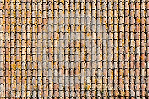 Mossy old roof tiles texture