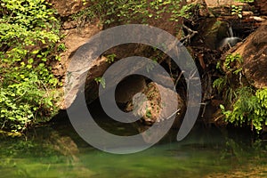 Mossy river with rocks