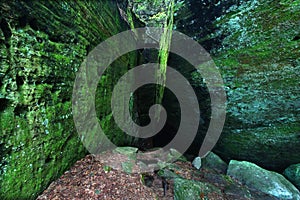 Mossy rock background