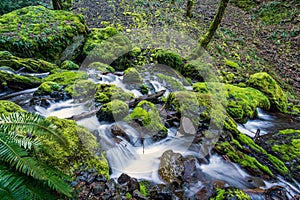 Mossy rocks at a creek in Oregon`s famous Columbia River Gorge. Pacific Northwest