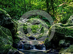 Mossy rocky stream with water cascade waterfall in a lush green summer forest