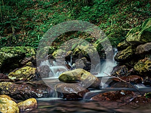 Mossy rocky stream with water cascade waterfall in a lush green summer forest