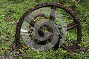 Mossy rusted cog wheel