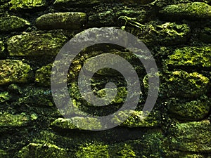 Mossy rustic stone wall closeup photo texture. Rough stone wall of ancient building.