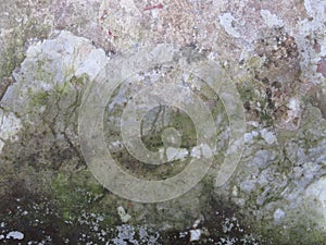 mossy slippery cement floor texture