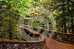 Mossy stone bridge trail through lush forest