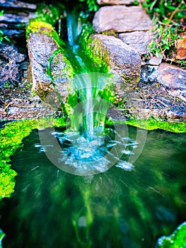 Mossy stone fountain with running water