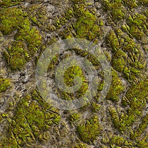 Mossy Stone. Seamless Tileable Texture.