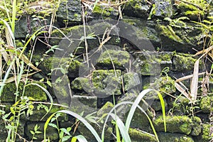 Mossy Stone Showing Natural Nature