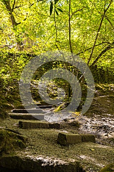 Mossy Stone Steps in Park of the Monsters.