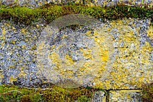 Mossy stone wall close-up can be used as a texture
