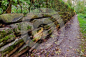 Mossy stone wall next to a dirt road in the forest