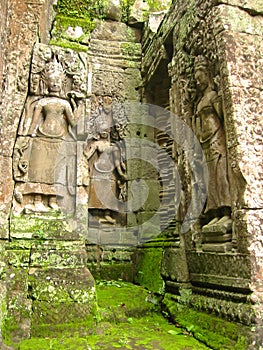 Mossy stones angkor wat temple ruins Cambodia