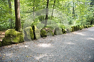 Mossy Stones on Forest Alley, Mountainpark Wilhelmhoehe, Kassel, Germany