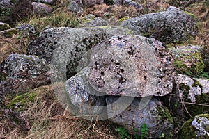Mossy stones of ice-age