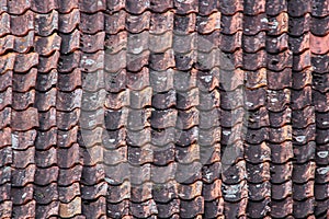 Mossy Tile roof texture