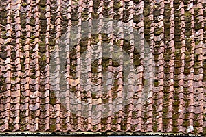 Mossy Tile roof texture